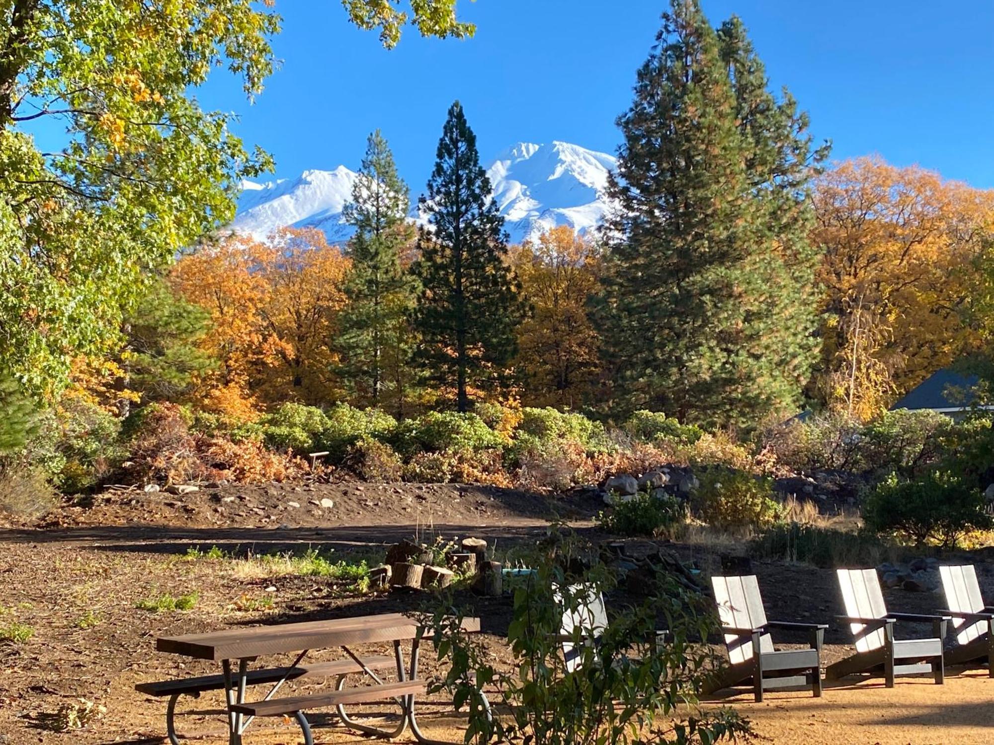 Basecamp Lodge Маунт Шаста Екстериор снимка